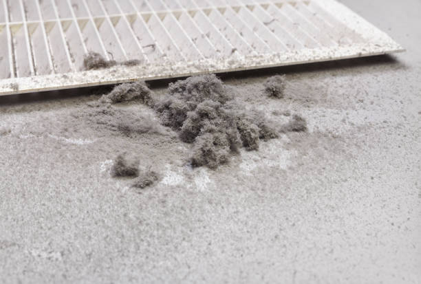 Best Residential Air Duct Cleaning  in Kenilworth, PA